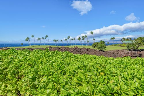 apt-b102-68-1050 Mauna Lani Point Dr, KAMUELA, HI, 96743-8793 | Card Image