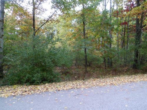 1013 & 1015 Granada Drive, Sherman Township, MI, 48893 | Card Image