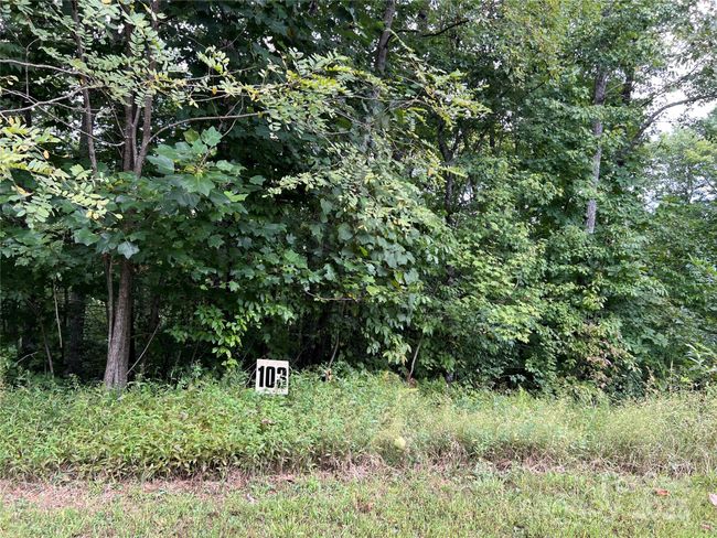 4 - 9999 Sassafras Ln, Home with 0 bedrooms, 0 bathrooms and null parking in Cedar Mountain NC | Image 36