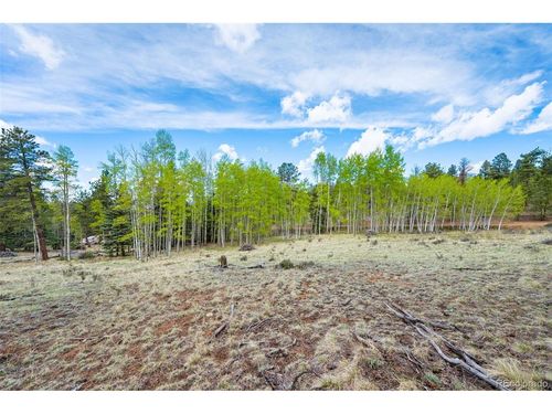 57 Beaver Creek Dr, Lake George, CO, 80827 | Card Image