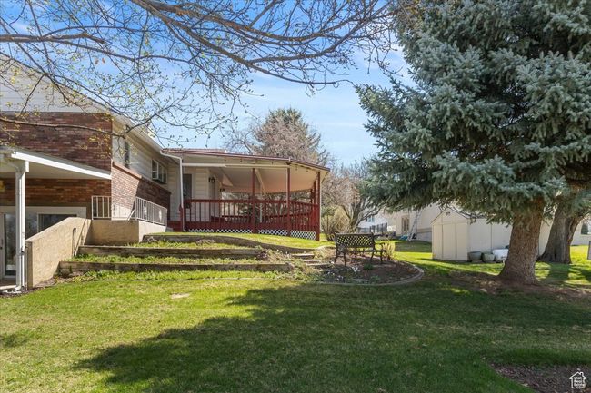 View of yard | Image 38