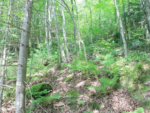 outlot-1-ON Skye Dr, Upson, WI, 54565 | Card Image