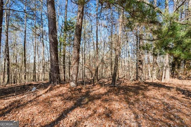 305 Collegiate Dr, House other with 5 bedrooms, 4 bathrooms and 2 parking in Powder Springs GA | Image 52
