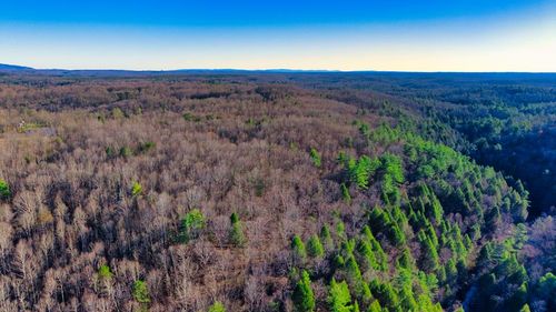 Tract 4 Ervin Brown Rd, Sunbright, TN, 37872 | Card Image