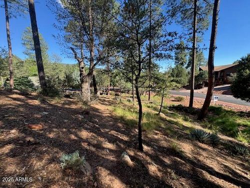 33-33 W Sage Ct, Pine, AZ, 85544 | Card Image