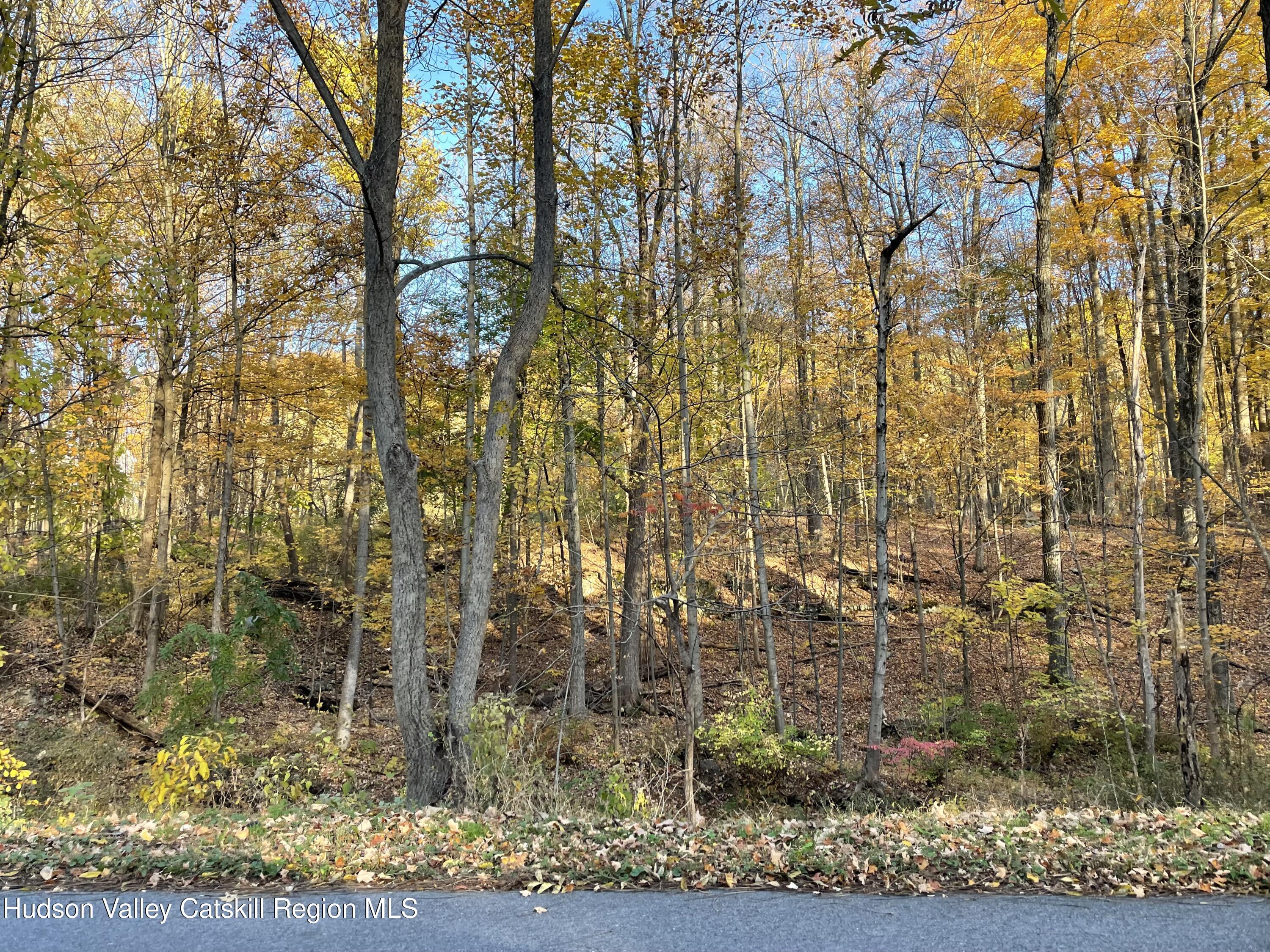 Land in Poughkeepsie 3