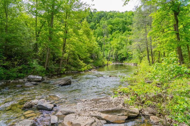 0 Echo Point Rd, Home with 0 bedrooms, 0 bathrooms and null parking in Dunlap TN | Image 12