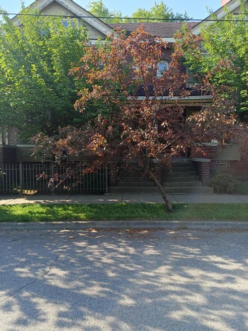 7252 Saint Paul St, Detroit, MI, 48214-2325 | Card Image