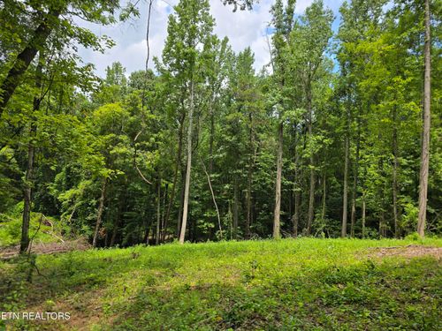 lot-5-278 Norman Rd, Powell, TN, 37849 | Card Image
