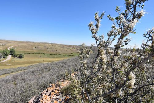 TBD Jenny Lynn Rd, Granite Canon, WY, 82059 | Card Image