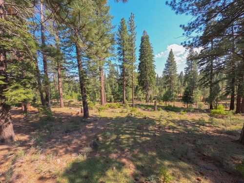 11349 China Camp Rd, Truckee, CA, 96161-2706 | Card Image