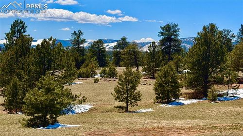 418 Scott Dr, Florissant, CO, 80816 | Card Image