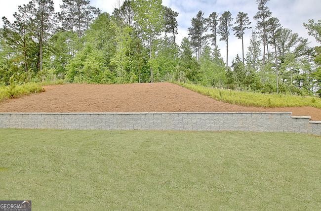 460 Werner Way, House other with 4 bedrooms, 4 bathrooms and 2 parking in Senoia GA | Image 90