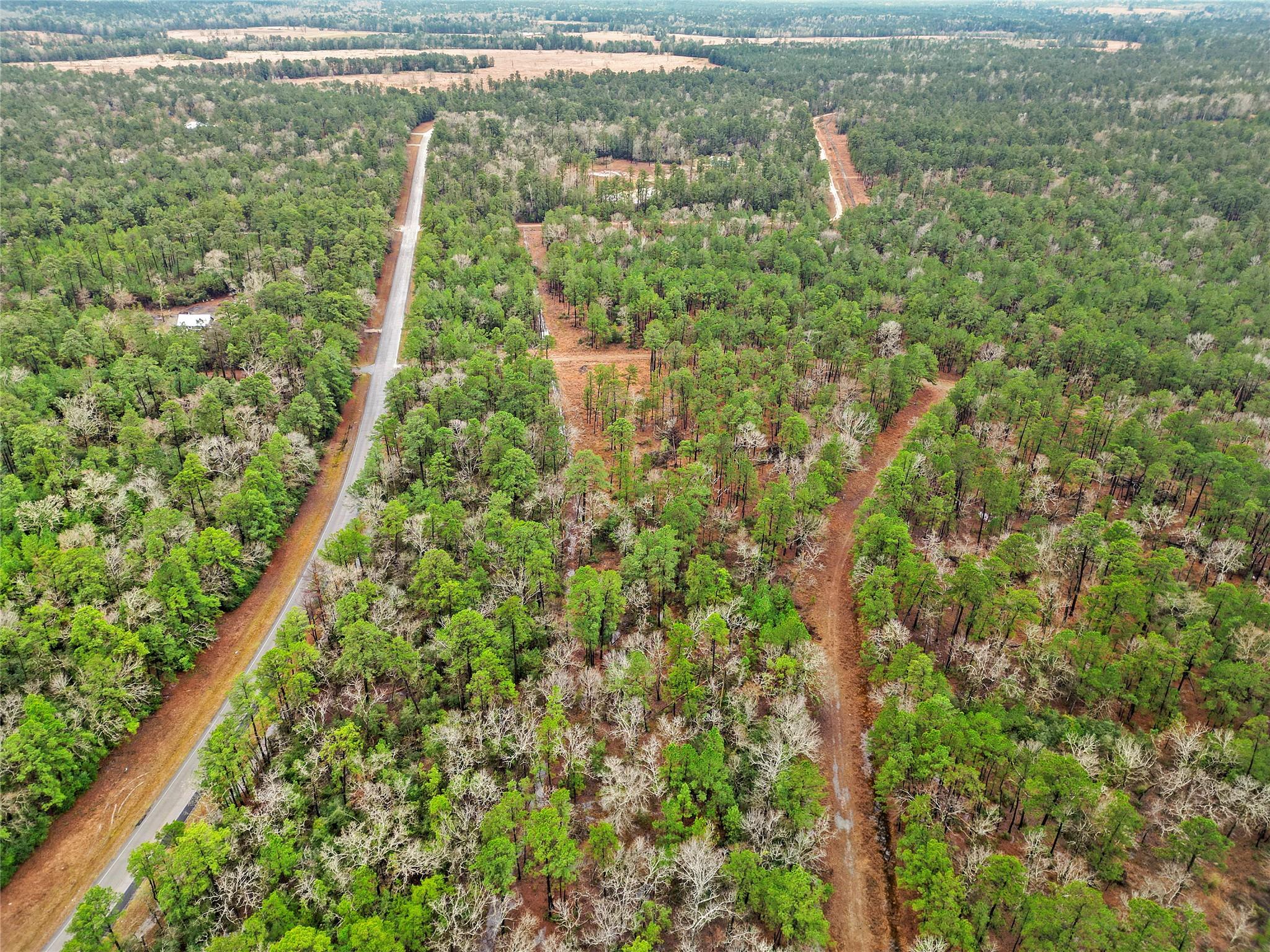 Land in Huntsville 3