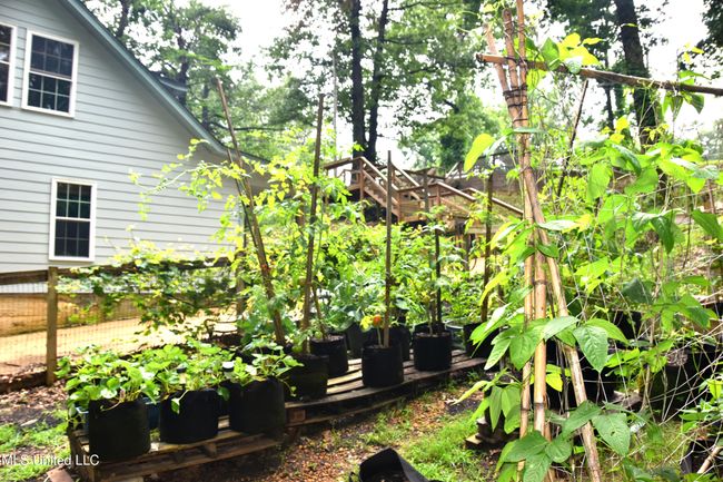 Glen Artney garden 2 | Image 37