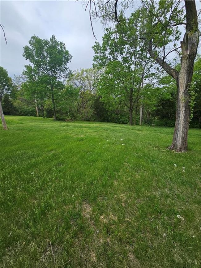 View of yard | Image 25
