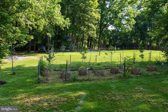 3020 Parshall Rd, House other with 3 bedrooms, 2 bathrooms and null parking in BERRYVILLE VA | Image 46