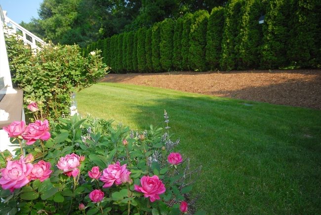16 - 16 John Francis Ln, Condo with 2 bedrooms, 3 bathrooms and 2 parking in Acton MA | Image 33