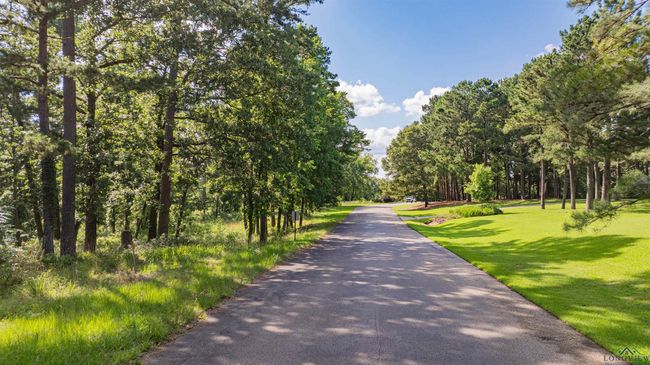 3 Bridle Path, Home with 0 bedrooms, 0 bathrooms and null parking in Longview TX | Image 7