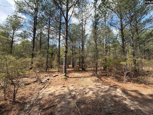 CA 4 Mt. Calvary Road, Ridge Spring, SC, 29129 | Card Image