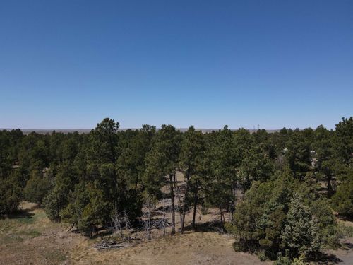 TBD Pine Avenue, Upton, WY, 82730 | Card Image