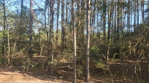 Lot 5 Walnut Tree Lane, Plantersville, TX, 77363 | Card Image