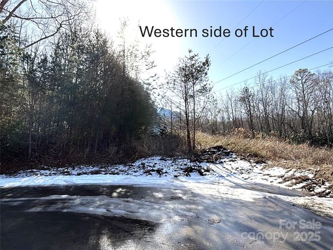 Winter view of western side of lot | Image 21