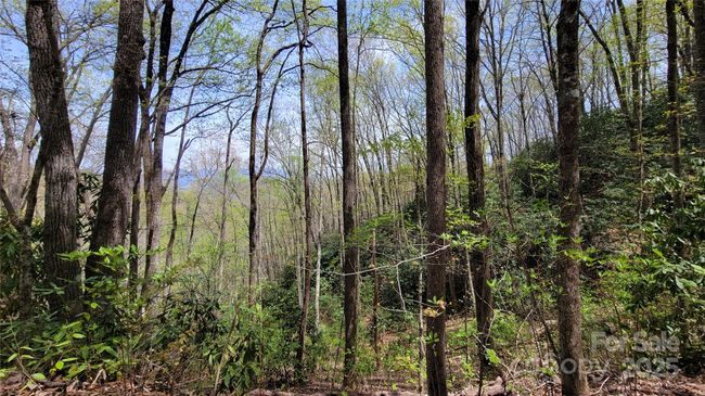 27 - 27 Lacy Fern Rdg, Home with 0 bedrooms, 0 bathrooms and null parking in Sylva NC | Image 17