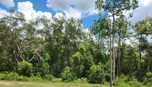 8256 Treiman Blvd, WEBSTER, FL, 33597 | Card Image