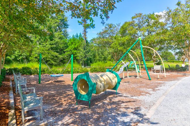 1888 Nola -Tidalcreekphoto- (47) | Image 49