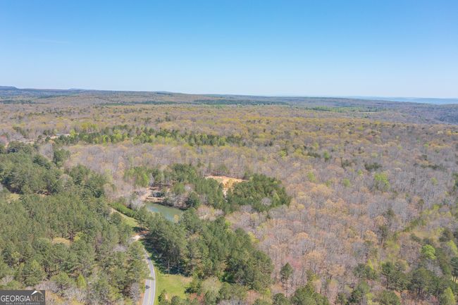 168 State Line Rd, House other with 4 bedrooms, 2 bathrooms and null parking in Cloudland GA | Image 60
