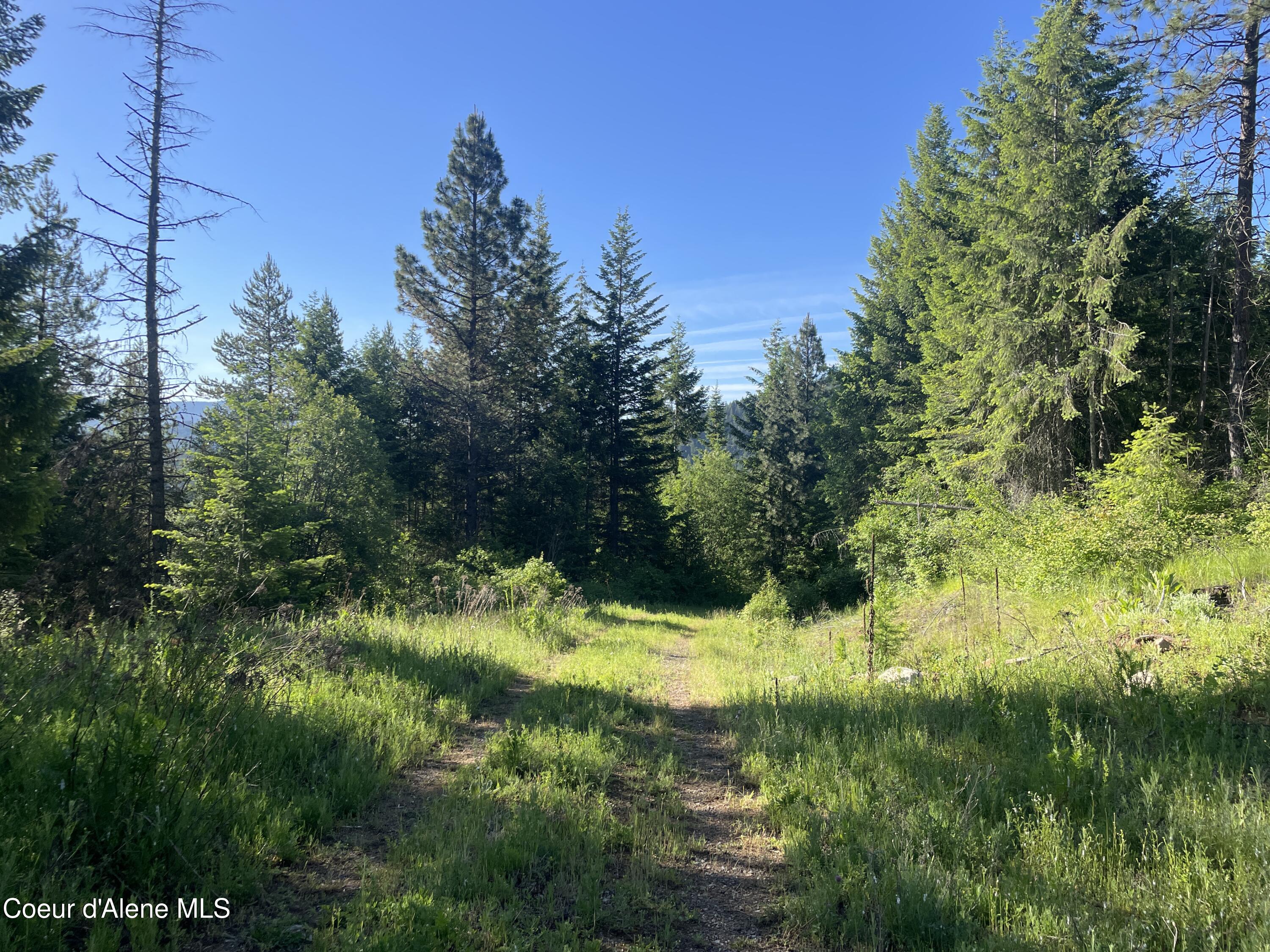 Land in Priest River 2