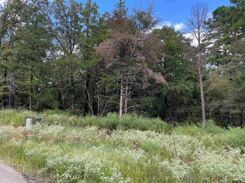 Tbd Cedarpark Place Lot 19, Lindale, TX, 75771 | Card Image