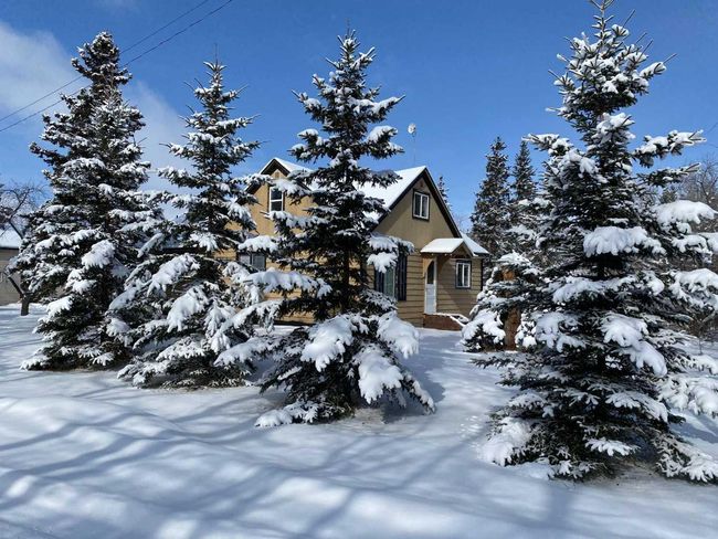 4906 47 Street, House other with 4 bedrooms, 1 bathrooms and 2 parking in Wanham AB | Image 27