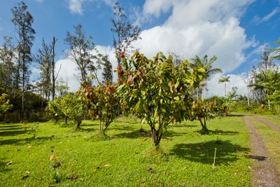 84 - 16-1487 39 Th Ave, Home with 0 bedrooms, 0 bathrooms and null parking in KEAAU HI | Image 2