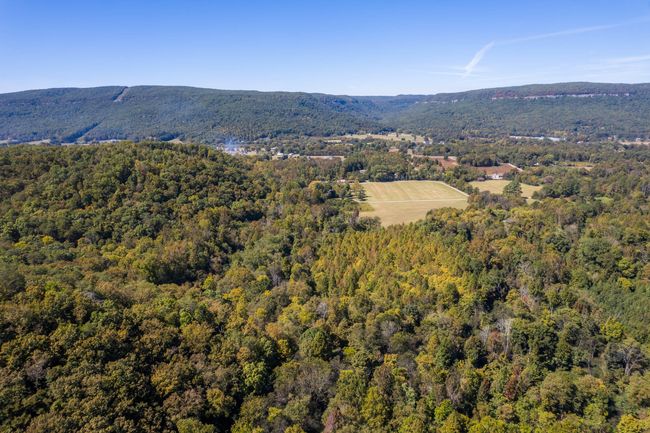 61243 Stone Cave Loop, Home with 0 bedrooms, 0 bathrooms and null parking in Dunlap TN | Image 8