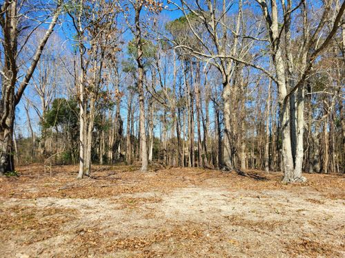 Lot 1 Santee Lumber Rd, Santee, SC, 29142 | Card Image