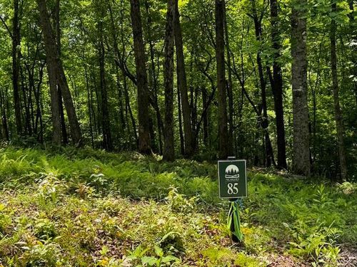 85 Cedar Road, Ellijay, GA, 30540 | Card Image
