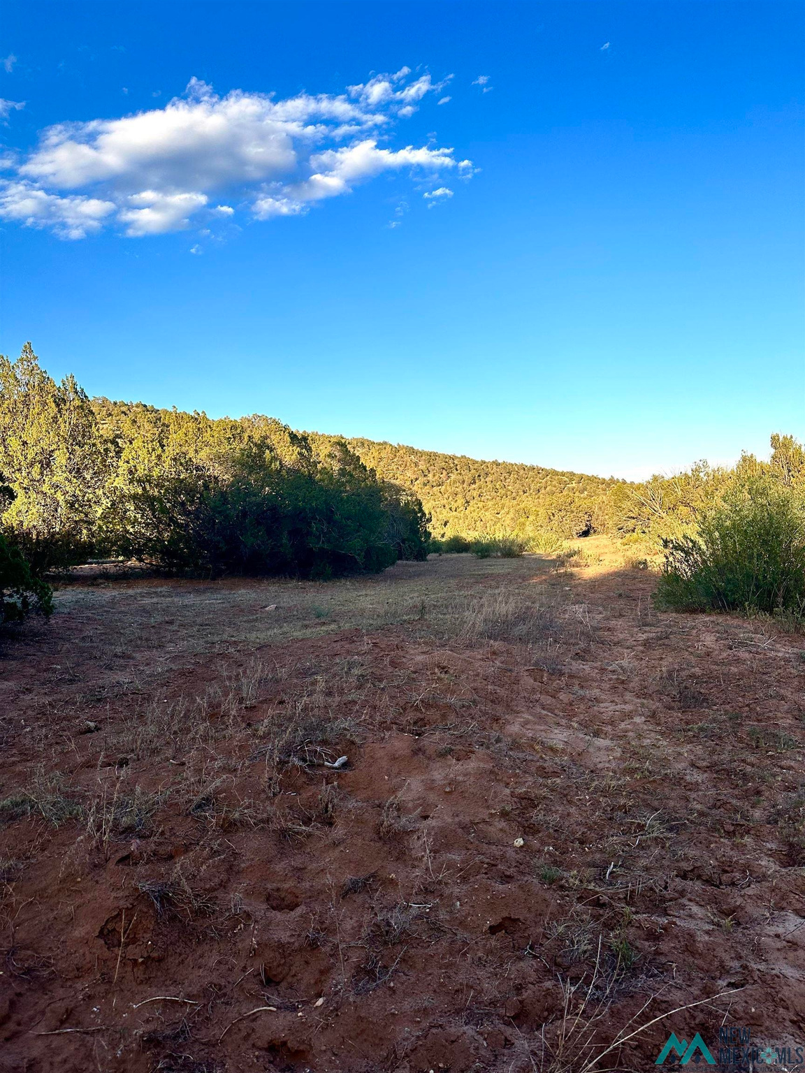 Land in Serafina 2