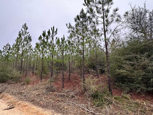 s4-Tract#6418 Mattox Springs Rd, Caryville, FL, 32427 | Card Image