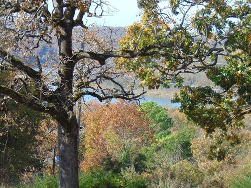 20413 S 874 Road, Park Hill, OK, 74451 | Card Image