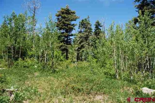 X Cold Spring Ct, Pagosa Springs, CO, 81147 | Card Image
