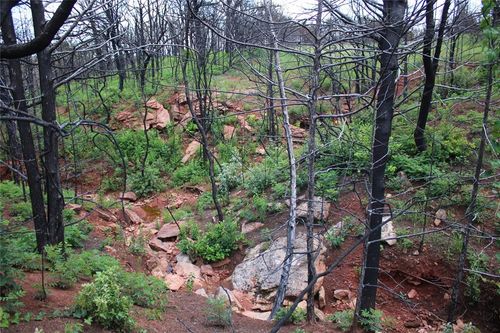 0000 E Seward Rd, Meridian, OK, 73058 | Card Image