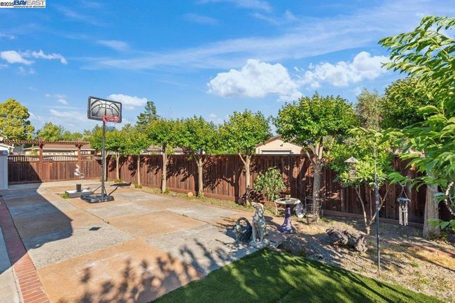 Large Side Yard | Image 28