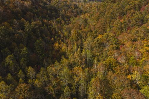 0 Livesay Chapel Rd, Kyles Ford, TN, 37765 | Card Image