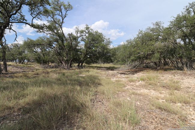 97 Nott Branch Rd, Home with 0 bedrooms, 0 bathrooms and null parking in Harper TX | Image 4