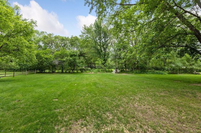 Back Yard | Image 44