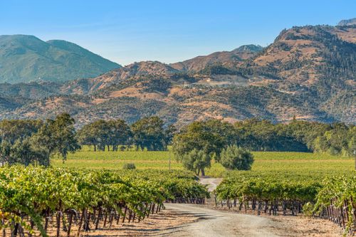 3486 St. Helena Highway, St. Helena, CA, 94574 | Card Image