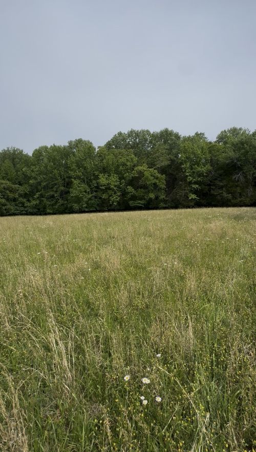0 Riverview Rd, Mount Juliet, TN, 37122 | Card Image
