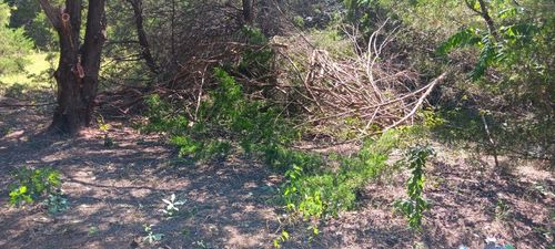 TWB Nw County Road 3114, Purdon, TX, 76679 | Card Image